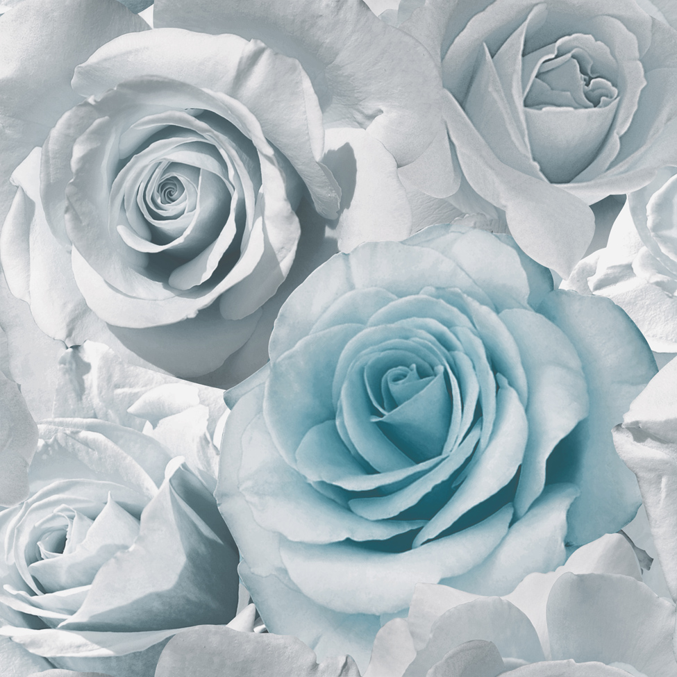 Top 163+ gray rose wallpaper latest - xkldase.edu.vn